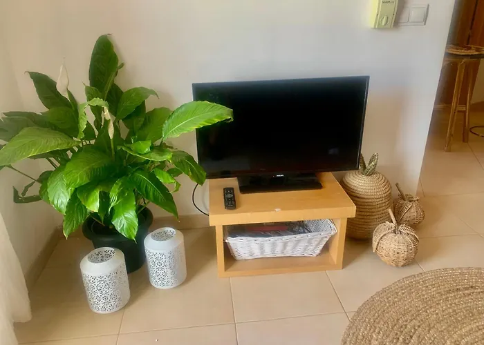 Piso Rosa Apartament